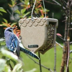 Flash Sale 🥰 Birds Choice Acorn Shaped Peanut Feeder - Taupe 🌟 -Garden Decor Shop unnamed file 13241
