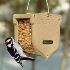 Flash Sale 🥰 Birds Choice Acorn Shaped Peanut Feeder - Taupe 🌟 -Garden Decor Shop unnamed file 13243
