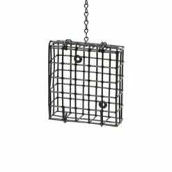 Top 10 🎉 Birds Choice Suet Cages - Black 🌟