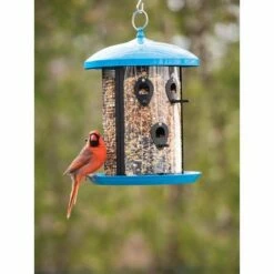 Best deal β Feather Central Bird Feeder - Heath Outdoor Products π