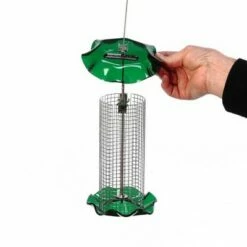 Deals 💯 Birds Choice 1qt Sunflower Forever Bird Feeder - Green 🛒