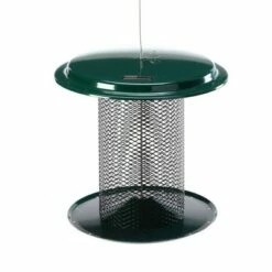 Best Sale β¨ Birds Choice 5qt Backyard Nature XCD72 Bird Stuff Magnet Mesh Feeder - Green π