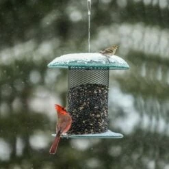 Best Sale ✨ Birds Choice 5qt Backyard Nature XCD72 Bird Stuff Magnet Mesh Feeder - Green 😍 -Garden Decor Shop unnamed file 13352