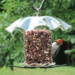 Hot Sale 💯 Birds Choice Bird Cylinder Seed Cake Bird Feeder, Medium ✨ -Garden Decor Shop unnamed file 13354