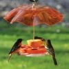 Deals ✨ Birds Choice Oriole Nectar Bird Feeder with Weather Guard Kit 🔔 -Garden Decor Shop unnamed file 13379