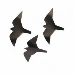 Brand new 🛒 Birds Choice Birdsaver Window Decals 👍