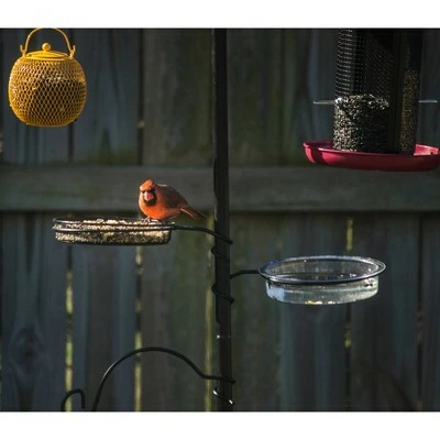 Top 10 π Backyard Expressions 77" Metal Deluxe Bird Feeding Station Black βοΈ 3 Top 10 π Backyard Expressions 77" Metal Deluxe Bird Feeding Station Black βοΈ - Image 2