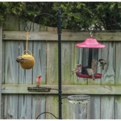 Top 10 π Backyard Expressions 77" Metal Deluxe Bird Feeding Station Black βοΈ 10 Top 10 π Backyard Expressions 77" Metal Deluxe Bird Feeding Station Black βοΈ -Garden Decor Shop unnamed file 13485