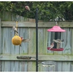 Top 10 π Backyard Expressions 77" Metal Deluxe Bird Feeding Station Black βοΈ 11 Top 10 π Backyard Expressions 77" Metal Deluxe Bird Feeding Station Black βοΈ -Garden Decor Shop unnamed file 13486