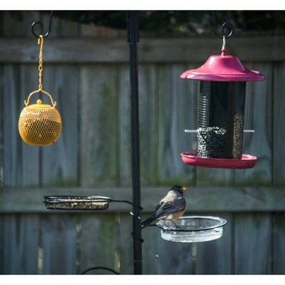 Top 10 π Backyard Expressions 77" Metal Deluxe Bird Feeding Station Black βοΈ 6 Top 10 π Backyard Expressions 77" Metal Deluxe Bird Feeding Station Black βοΈ - Image 5