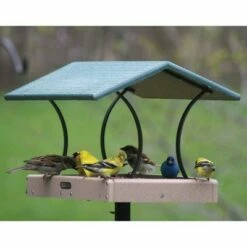 Top 10 π Birds Choice 18" x 12" Fly-Through Platform π 9 Top 10 π Birds Choice 18" x 12" Fly-Through Platform π -Garden Decor Shop unnamed file 13518