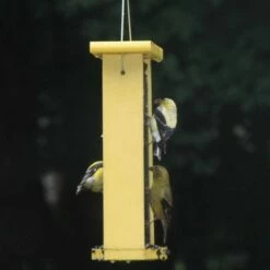 Best Pirce 👍 Birds Choice 1.5qt Magnet-Mesh Nyjer Finch Feeder 🎁 -Garden Decor Shop unnamed file 13532