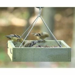 Cheapest ✔️ Birds Choice Hanging Tray Feeder, Small 😀 -Garden Decor Shop unnamed file 13543