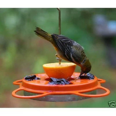 Wholesale ✔️ Birds Choice Oriolefest Oriole Feeder 12oz ⭐ 4 Wholesale ✔️ Birds Choice Oriolefest Oriole Feeder 12oz ⭐ - Image 2