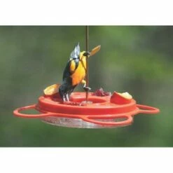 Wholesale ✔️ Birds Choice Oriolefest Oriole Feeder 12oz ⭐ 8 Wholesale ✔️ Birds Choice Oriolefest Oriole Feeder 12oz ⭐ -Garden Decor Shop unnamed file 13550
