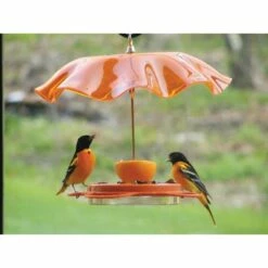 Wholesale ✔️ Birds Choice Oriolefest Oriole Feeder 12oz ⭐ 9 Wholesale ✔️ Birds Choice Oriolefest Oriole Feeder 12oz ⭐ -Garden Decor Shop unnamed file 13551