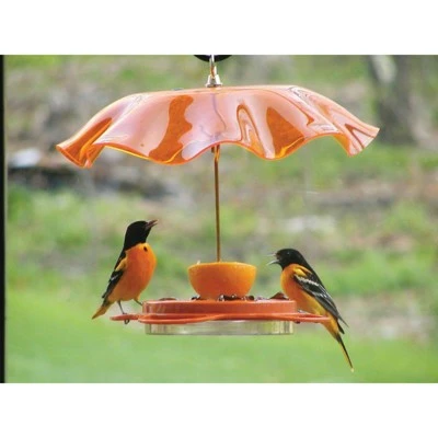 Wholesale ✔️ Birds Choice Oriolefest Oriole Feeder 12oz ⭐ 6 Wholesale ✔️ Birds Choice Oriolefest Oriole Feeder 12oz ⭐ - Image 4