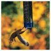 Best Pirce π Droll Yankees Yankee Whipper Collapsing Curved Perch Squirrel Proof Bird Feeder - Blue - 21" β€οΈ 2 Best Pirce π Droll Yankees Yankee Whipper Collapsing Curved Perch Squirrel Proof Bird Feeder - Blue - 21" β€οΈ -Garden Decor Shop unnamed file 13590