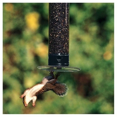 Budget π Droll Yankees Yankee Tipper Collapsing Tray Squirrel Proof Bird Feeder - Black - 21" βοΈ 3 Budget π Droll Yankees Yankee Tipper Collapsing Tray Squirrel Proof Bird Feeder - Black - 21" βοΈ