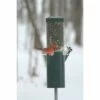 Top 10 🤩 Birds Choice Nature Products Classic Pole Mount Wild Bird Feeder - Green 👏