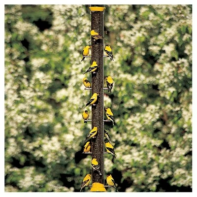 Deals π Droll Yankees New Generation 36" Finch Flocker Feeder π 3 Deals π Droll Yankees New Generation 36" Finch Flocker Feeder π