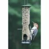 Budget 🎉 Birds Choice 2 Cup Tube Bird Feeder ✔️