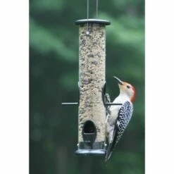 Budget π Birds Choice 2 Cup Tube Bird Feeder βοΈ