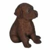Flash Sale ⭐ HI-LINE GIFT LTD 6.5" Polyresin Labrador Puppy Brown - Hi-Line Gift 🤩 -Garden Decor Shop unnamed file 1371