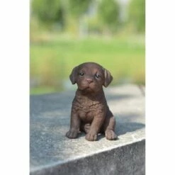 Flash Sale β HI-LINE GIFT LTD 6.5" Polyresin Labrador Puppy Brown - Hi-Line Gift π€© 8 Flash Sale β HI-LINE GIFT LTD 6.5" Polyresin Labrador Puppy Brown - Hi-Line Gift π€© -Garden Decor Shop unnamed file 1374