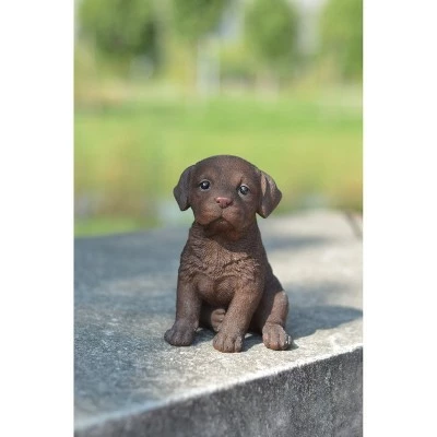 Flash Sale β HI-LINE GIFT LTD 6.5" Polyresin Labrador Puppy Brown - Hi-Line Gift π€© 5 Flash Sale β HI-LINE GIFT LTD 6.5" Polyresin Labrador Puppy Brown - Hi-Line Gift π€© - Image 4