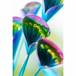 Deals 👍 Evergreen 75"H Wind Spinner, Blue and Purple Calla Lilies 🎁 -Garden Decor Shop unnamed file 13984