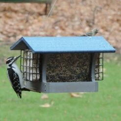 Wholesale π Birds Choice 3qt Green Solutions Hopper Feeder with Suets Gray with Blue Roof - Medium π 7 Wholesale π Birds Choice 3qt Green Solutions Hopper Feeder with Suets Gray with Blue Roof - Medium π -Garden Decor Shop unnamed file 14391
