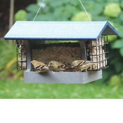 Wholesale π Birds Choice 3qt Green Solutions Hopper Feeder with Suets Gray with Blue Roof - Medium π 5 Wholesale π Birds Choice 3qt Green Solutions Hopper Feeder with Suets Gray with Blue Roof - Medium π - Image 4