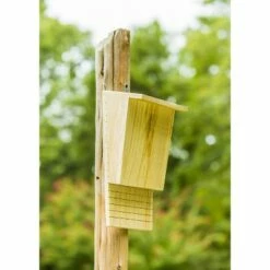 Brand new 🔥 Evergreen Natural Wooden Bat House 🌟 -Garden Decor Shop unnamed file 1443