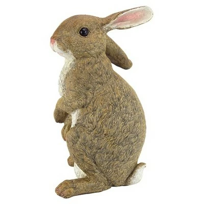 Flash Sale β Design Toscano Hopper, The Bunny, Standing Garden Rabbit Statue π 6 Flash Sale β Design Toscano Hopper, The Bunny, Standing Garden Rabbit Statue π - Image 4
