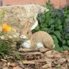Best Sale π Design Toscano Bashful, The Bunny, Lying Down Garden Rabbit Statue - Brown π― 2 Best Sale π Design Toscano Bashful, The Bunny, Lying Down Garden Rabbit Statue - Brown π― -Garden Decor Shop unnamed file 153