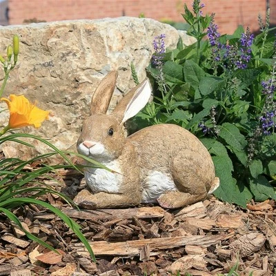 Best Sale π Design Toscano Bashful, The Bunny, Lying Down Garden Rabbit Statue - Brown π― 3 Best Sale π Design Toscano Bashful, The Bunny, Lying Down Garden Rabbit Statue - Brown π―
