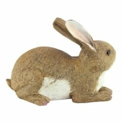 Best Sale π Design Toscano Bashful, The Bunny, Lying Down Garden Rabbit Statue - Brown π― 10 Best Sale π Design Toscano Bashful, The Bunny, Lying Down Garden Rabbit Statue - Brown π― -Garden Decor Shop unnamed file 156
