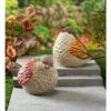 Top 10 ✨ Set of 2 8.25" Polyresin Garden Statues Autumn Bird - Evergreen 🛒 -Garden Decor Shop unnamed file 16