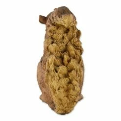 Best reviews of 👍 Zingz & Thingz Zingz & Thingz 6.75" Polyresin Nibbling Squirrel Garden Statue Brown 🎁 -Garden Decor Shop unnamed file 177