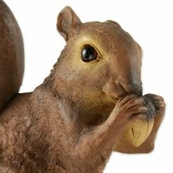 Best reviews of 👍 Zingz & Thingz Zingz & Thingz 6.75" Polyresin Nibbling Squirrel Garden Statue Brown 🎁 -Garden Decor Shop unnamed file 180