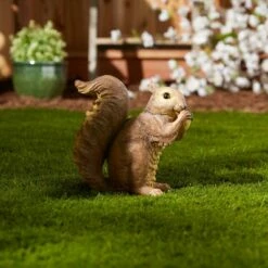 Best reviews of 👍 Zingz & Thingz Zingz & Thingz 6.75" Polyresin Nibbling Squirrel Garden Statue Brown 🎁 -Garden Decor Shop unnamed file 181