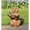 Top 10 👍 15.25" Carved Resin Birdbath Beaver - Evergreen 🌟 -Garden Decor Shop unnamed file 1828