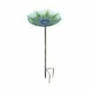 Best reviews of 🎁 Evergreen Peacock Glass Bird Bath with Metal Stake ⌛ 1 Best reviews of 🎁 Evergreen Peacock Glass Bird Bath with Metal Stake ⌛ -Garden Decor Shop unnamed file 1832
