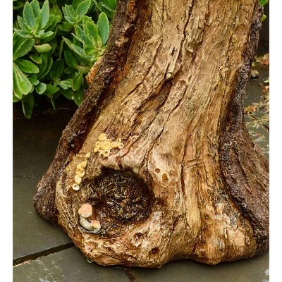 Best reviews of π Plow & Hearth - Charming Weather-Safe Resin Succulent Birdbath Resembling Tree Trunk π― 4 Best reviews of π Plow & Hearth - Charming Weather-Safe Resin Succulent Birdbath Resembling Tree Trunk π― - Image 3