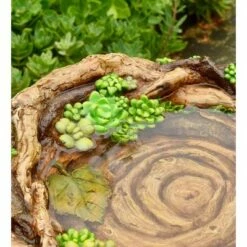Best reviews of π Plow & Hearth - Charming Weather-Safe Resin Succulent Birdbath Resembling Tree Trunk π― 8 Best reviews of π Plow & Hearth - Charming Weather-Safe Resin Succulent Birdbath Resembling Tree Trunk π― -Garden Decor Shop unnamed file 1858