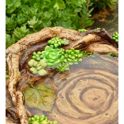 Best reviews of π Plow & Hearth - Charming Weather-Safe Resin Succulent Birdbath Resembling Tree Trunk π― 5 Best reviews of π Plow & Hearth - Charming Weather-Safe Resin Succulent Birdbath Resembling Tree Trunk π― - Image 4