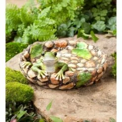 Outlet ❤️ Wind & Weather Happy Frog Tabletop Birdbath 💯