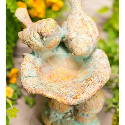 Best reviews of π Wind & Weather Antiqued Two Birds Perched Atop Mushrooms Birdbath π 2 Best reviews of π Wind & Weather Antiqued Two Birds Perched Atop Mushrooms Birdbath π - Image 2