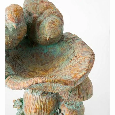 Best reviews of π Wind & Weather Antiqued Two Birds Perched Atop Mushrooms Birdbath π 7 Best reviews of π Wind & Weather Antiqued Two Birds Perched Atop Mushrooms Birdbath π - Image 7